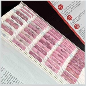 Spanish Laminated Bible Tabs - Pink